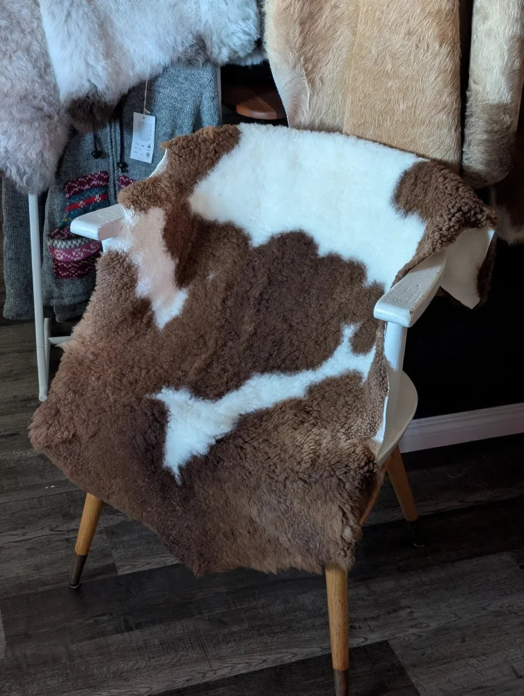 Brown and white tibet highland spotted grade a- sheepskin rug draped over chair nat’s grade quality
