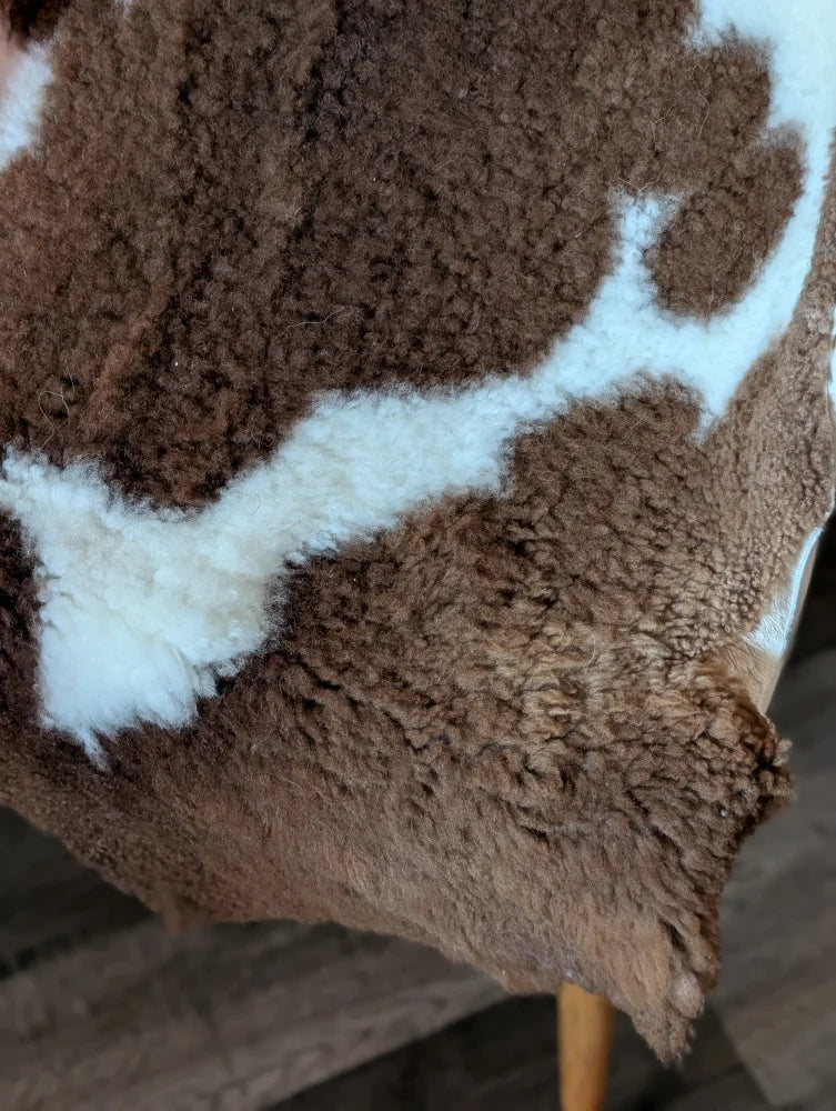Brown and white curly tibet highland spotted sheepskin rug with natural texture grade a- sheepskins nat’s grade