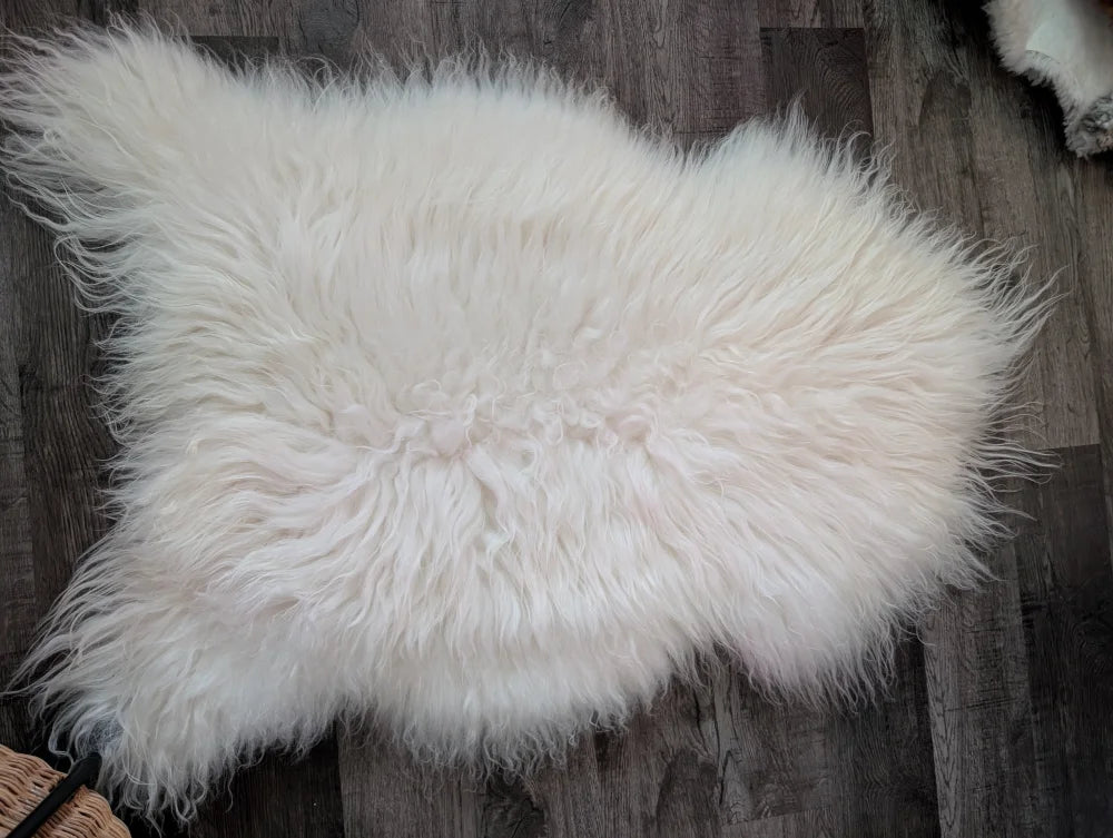 A plush off-white icelandic sheepskin rug with long fluffy fibers from a curated collection of wool icelandic sheepskins
