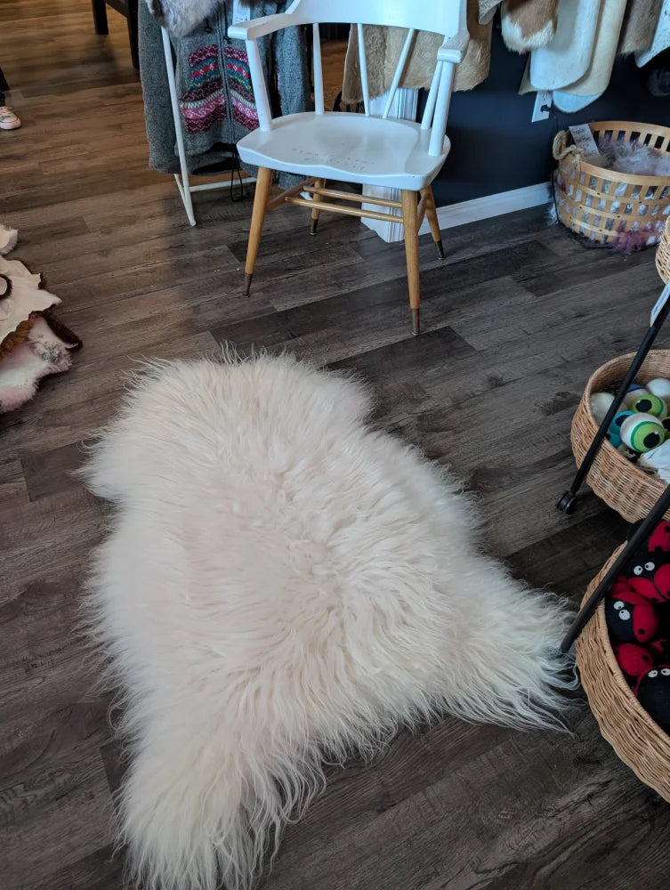 A large natural white icelandic sheepskin rug with long soft fur lies on a wooden floor from a curated collection