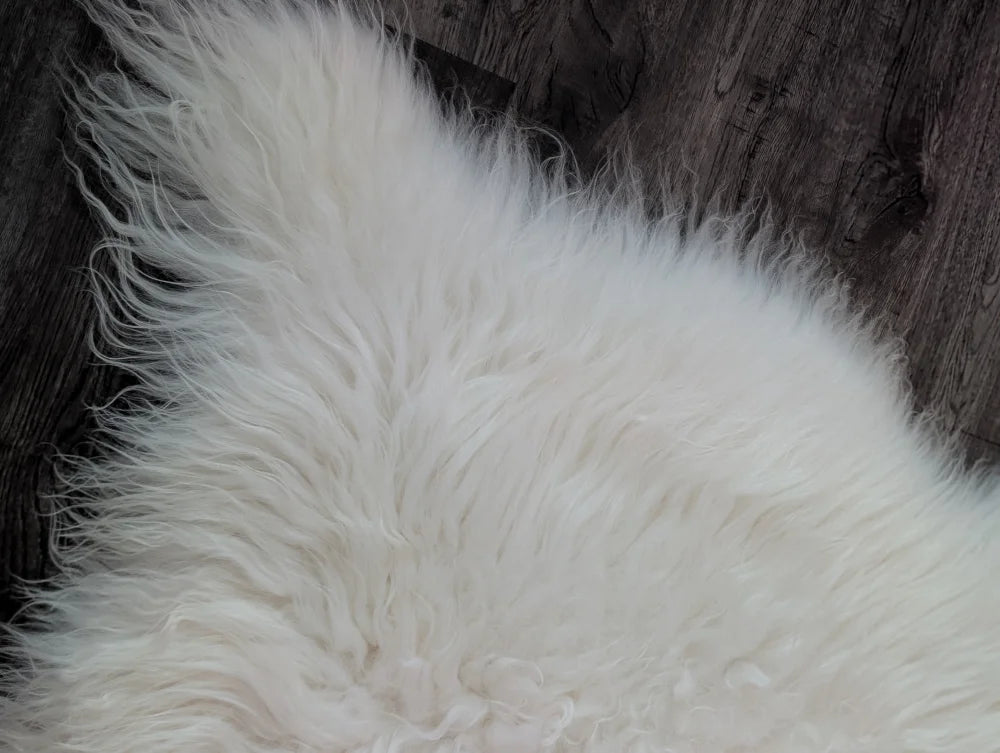 A large natural white icelandic sheepskin rug with long soft fibers and a natural edge from our curated collection