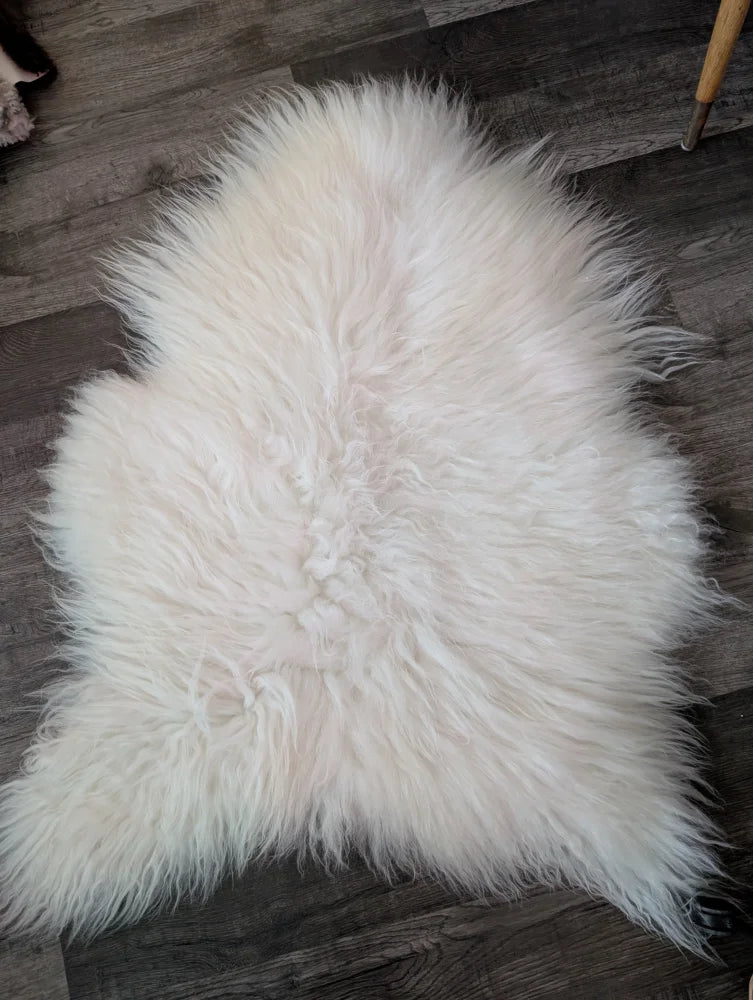 A large natural white icelandic sheepskin rug with long soft wool lying on a dark wooden floor from curated collection