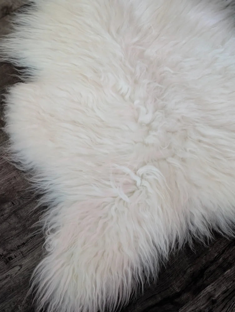 A large natural white icelandic sheepskin rug with long curly fibers from a curated collection of wool icelandic sheepskins