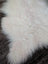 A large natural white icelandic sheepskin rug with long curly fibers from a curated collection of wool icelandic sheepskins