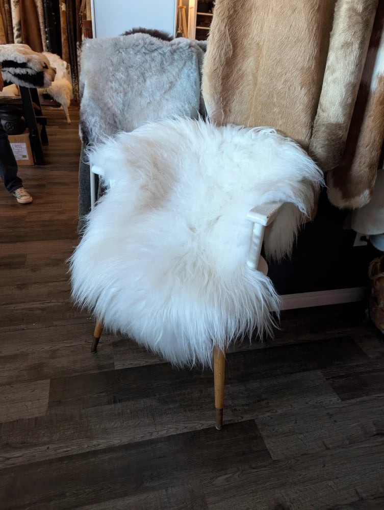 White fluffy icelandic sheepskin rug chair cover from curated collection of wool icelandic sheepskins in natural white