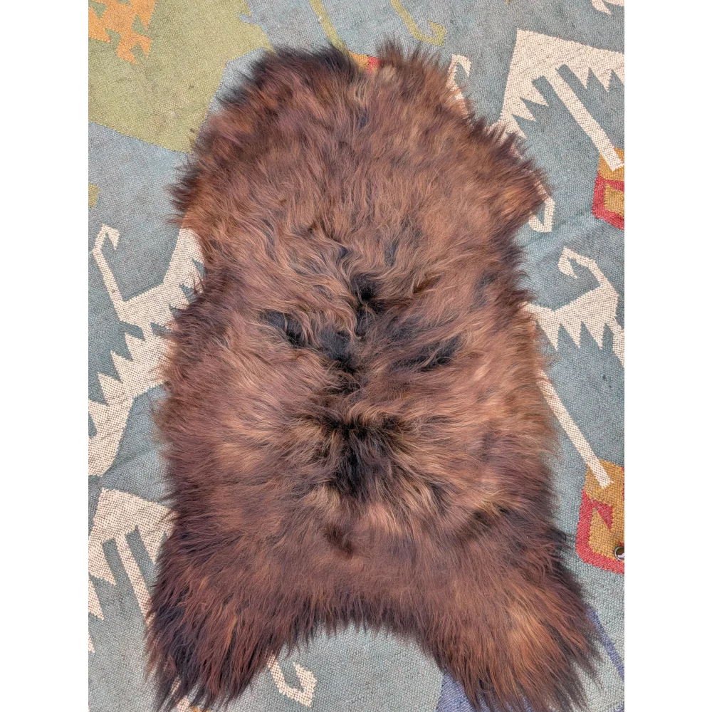 A plush brown long wool icelandic sheepskin rug with natural matted texture and darker patches 50 by 27 inches