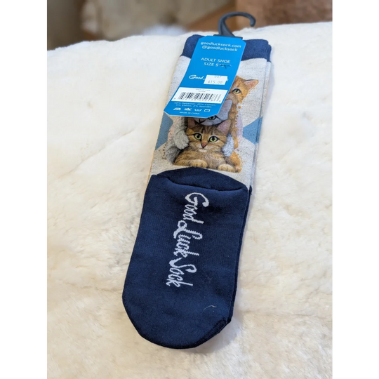 Stacked Cats good luck socks with tabby cat in winter hat