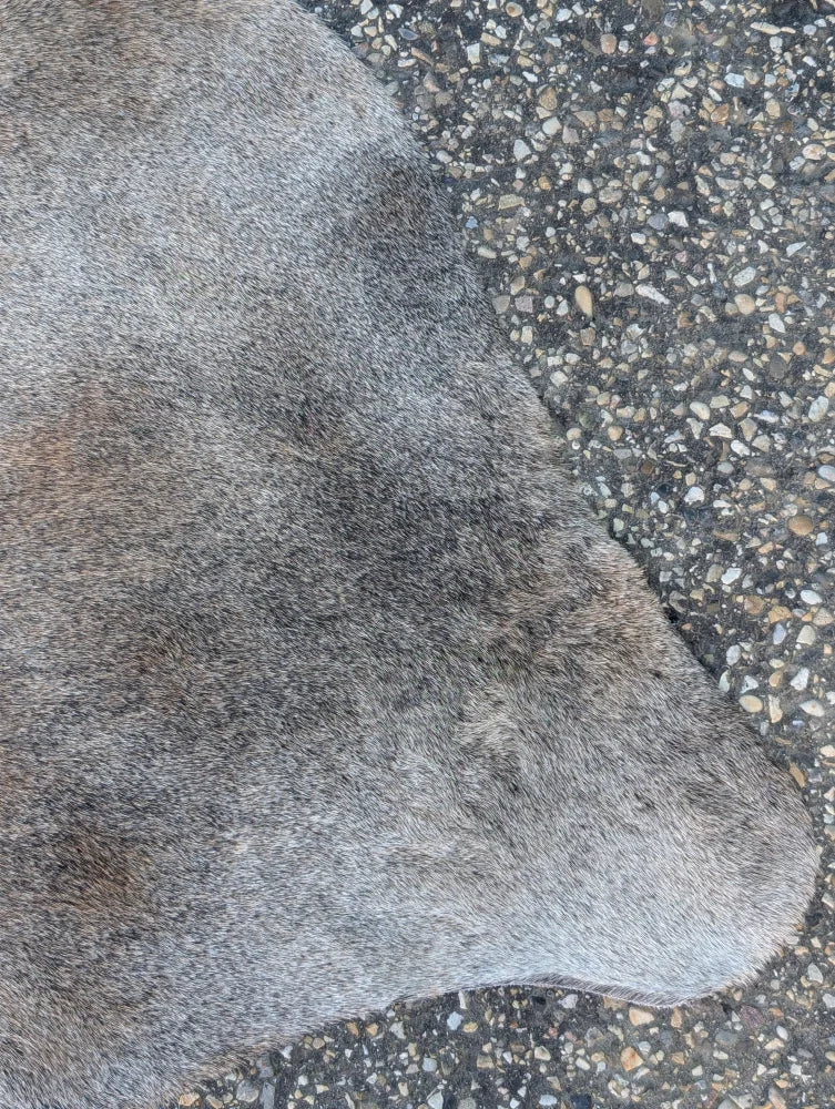 A large grayish-brown lovely cowhide rug with unique characteristics lying on a speckled concrete ground