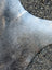 The backside of a soft gray large cowhide resting on asphalt showing unique characteristics of a lovely cowhide rug