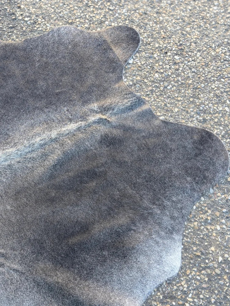 Dark gray large cowhide lovely cowhide rug with natural fur texture and unique characteristics in irregular edges