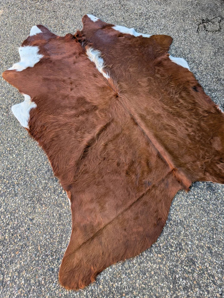 Sun11 80 x 66 large cowhide rug with lovely brown and white natural fur texture and unique characteristics