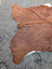 Large cowhide lovely cowhide rug with brown and white natural fur texture showcasing unique characteristics