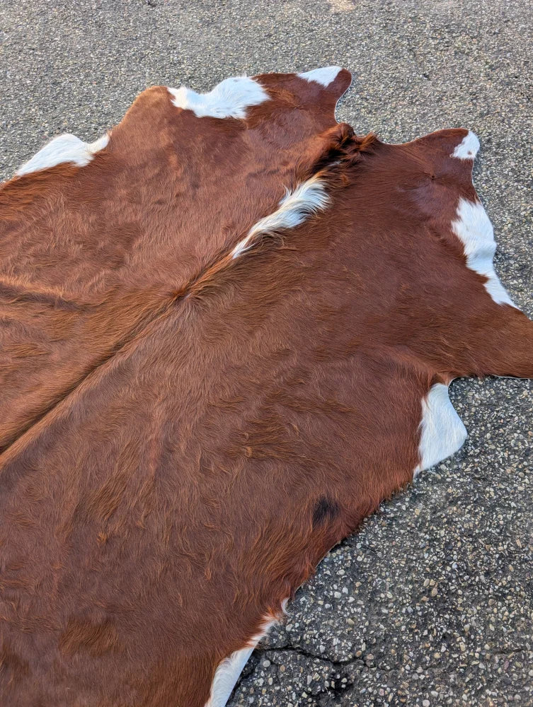 Sun11 80 x 66 lovely cowhide rug with natural fur texture in brown and white showing unique characteristics of a large cowhide
