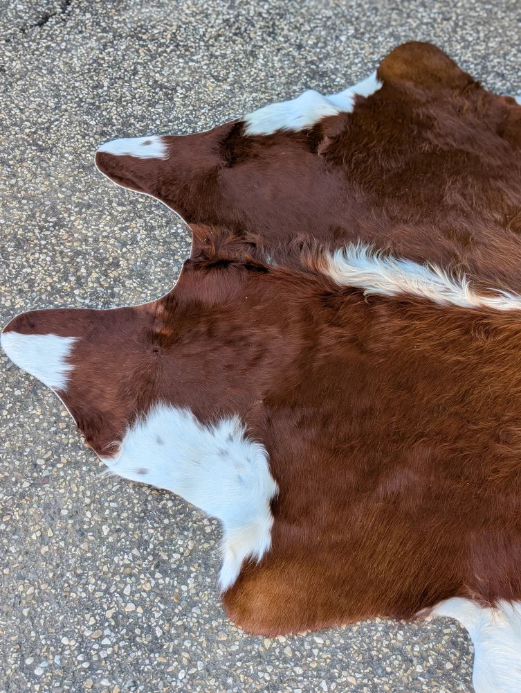 Large brown and white cowhide rug with natural fur texture showcasing unique characteristics in lovely cowhide rug style