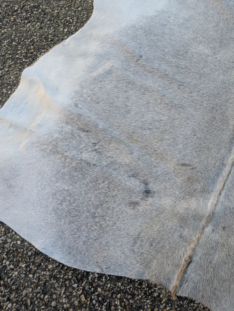 Large lovely cowhide rug in gray and white with unique characteristics and a soft textured surface SUN12 78 x 70 inches