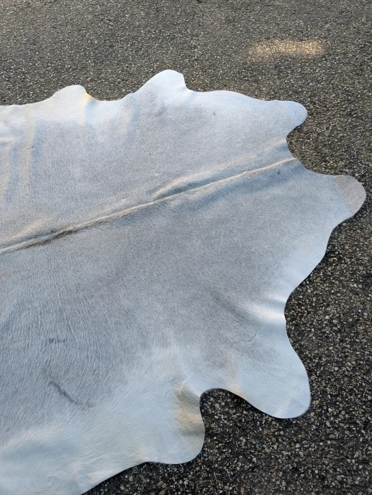 Large pale gray lovely cowhide rug with unique characteristics and natural irregular edges measuring 78 by 70 inches