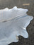 Large pale gray lovely cowhide rug with unique characteristics and natural irregular edges measuring 78 by 70 inches