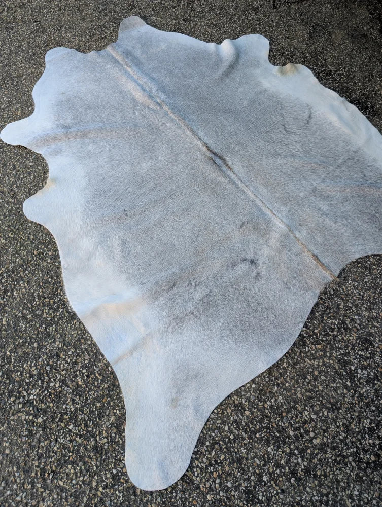 Large light gray lovely cowhide rug with naturally textured surface and unique characteristics measuring 78 x 70 inches
