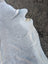 Large light gray cowhide rug with lovely unique characteristics and soft textured surface perfect for home decor