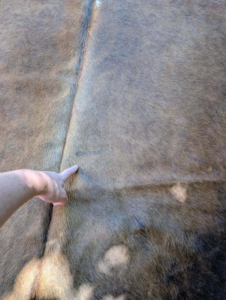 Brown large cowhide rug with a natural textured surface and visible stitching showcasing unique characteristics