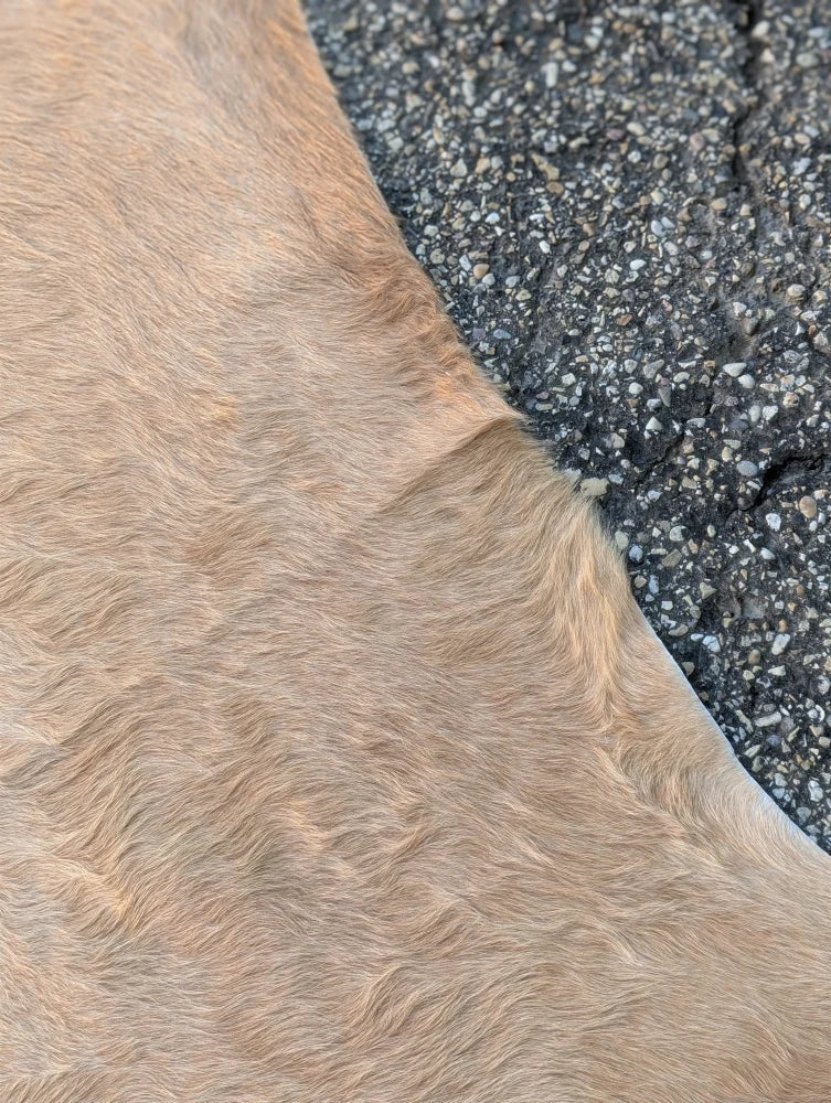 Tan large cowhide rug sun14 77.5 x 66 with lovely cowhide rug soft natural texture and unique characteristics