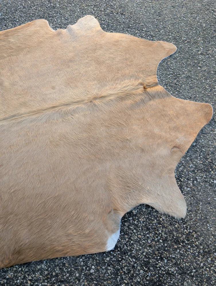 Large lovely cowhide rug sun14 77.5 x 66 with natural tan color soft texture and unique characteristics