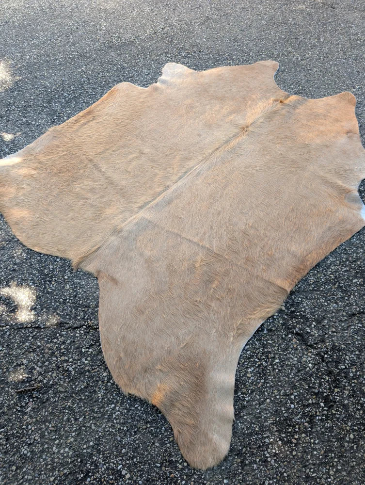 A large cowhide rug in natural tan with soft textured surface and unique characteristics in size 77.5 by 66 inches