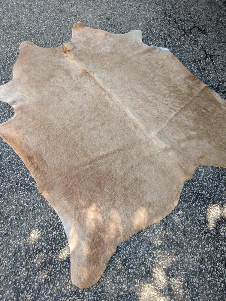 Large tan cowhide rug sun14 77.5 x 66 with soft texture and unique characteristics lovely cowhide rug