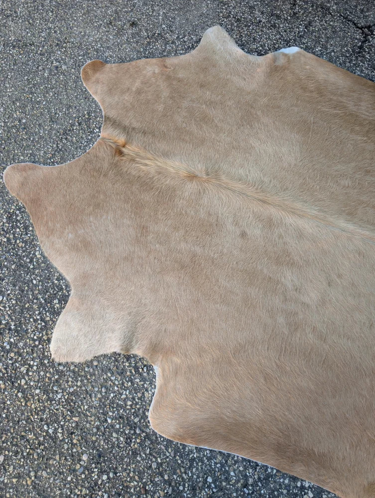 Tan large cowhide rug with natural fur texture and unique characteristics in the lovely cowhide rug sun14 design