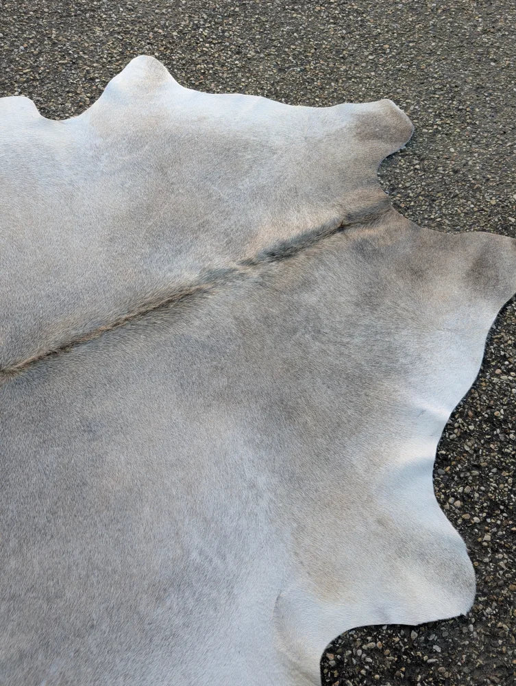 Large lovely cowhide rug in natural gray with soft texture and unique characteristics sized 74.5 by 64 inches