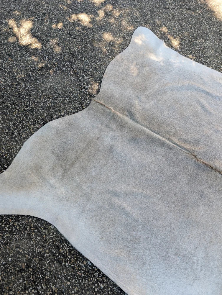Sun15 large lovely grey cowhide rug with soft light gray texture and unique characteristics measuring 74.5 by 64 inches