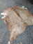 Large brown and white fur-covered lovely cowhide rug laid flat on asphalt showing unique characteristics