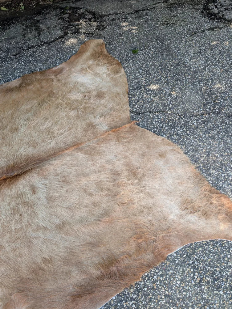 Tan full-furred large cowhide laid flat on asphalt showing unique characteristics of this lovely cowhide rug