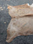 Large brown and white cowhide rug with natural fur texture showcasing unique characteristics on asphalt surface