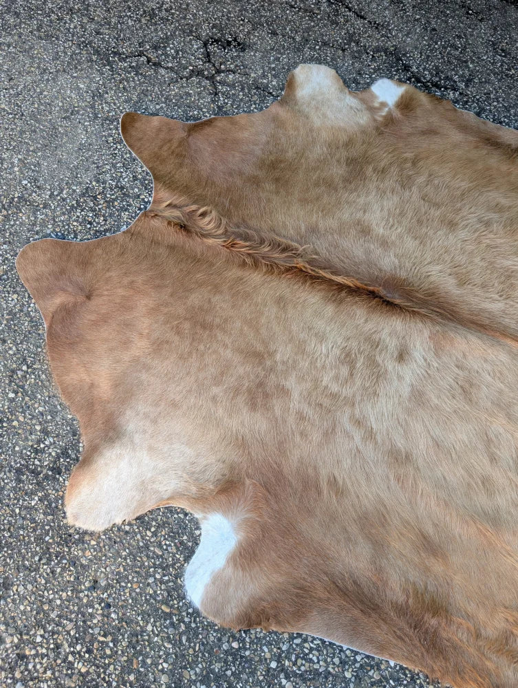 Sun16 large lovely cowhide rug with natural brown fur texture and white patches showcasing unique characteristics
