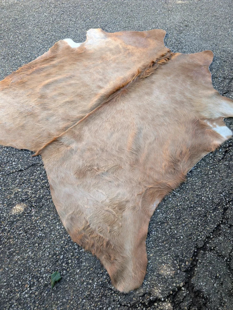 Large brown and white cowhide rug with natural fur texture and unique characteristics for stylish home decor