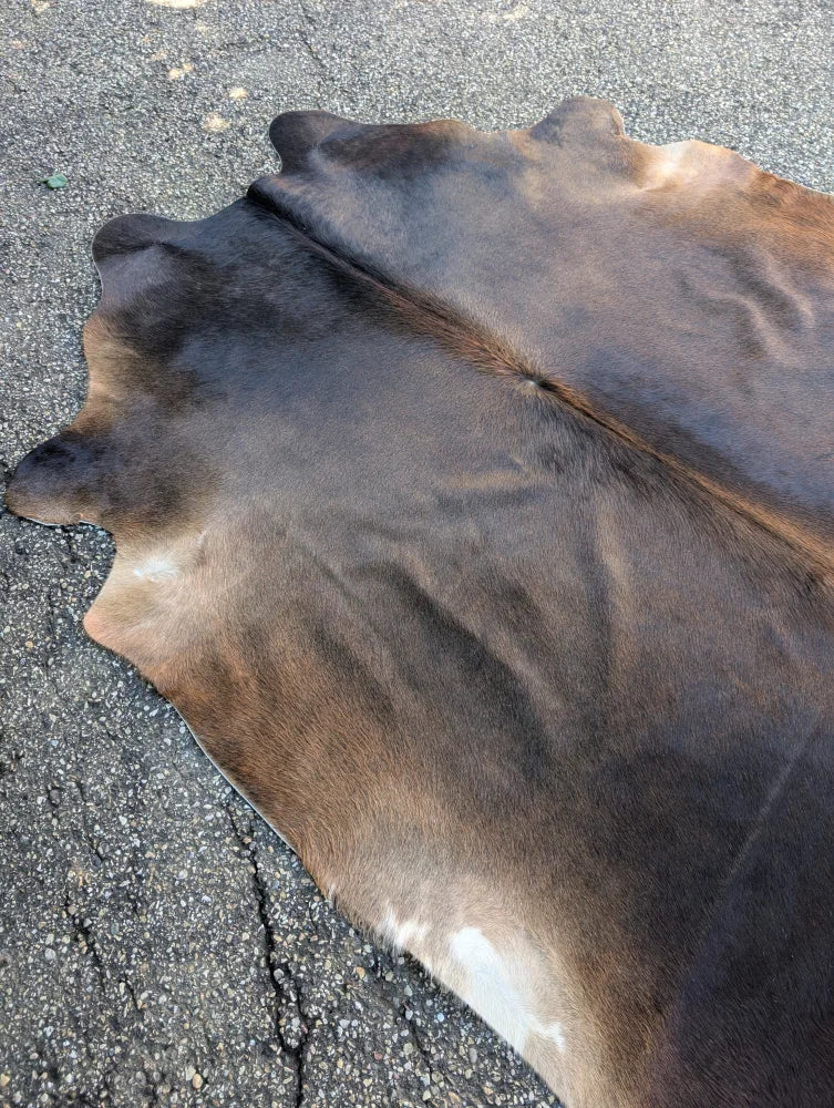 Large brown and black lovely cowhide rug with natural fur texture showcasing unique characteristics sun17 75.5 x 76