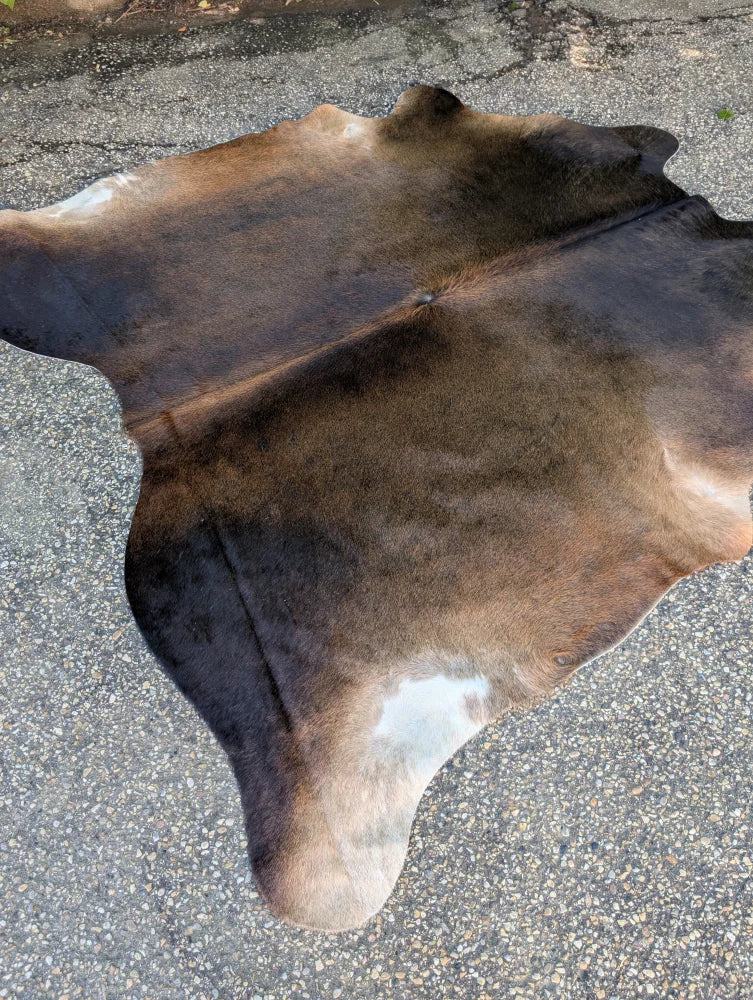 Large lovely cowhide rug in brown and black with natural white patches showcasing unique characteristics