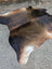 Large lovely cowhide rug in brown and black with natural white patches showcasing unique characteristics