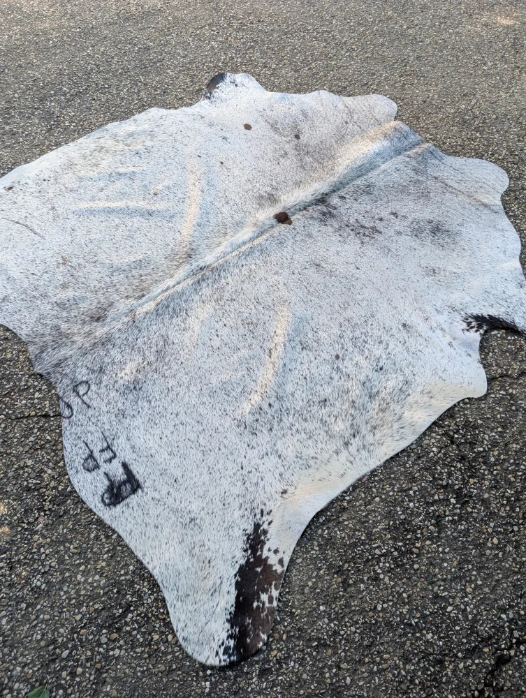 Sun18 large cowhide rug with lovely white and black speckled pattern showcasing unique characteristics on asphalt