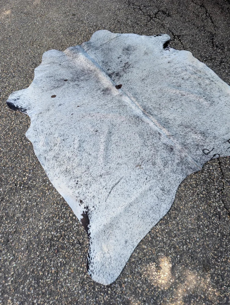 A large lovely cowhide rug in white and black speckled with unique characteristics and a natural irregular shape