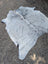 A large lovely cowhide rug in white and black speckled with unique characteristics and a natural irregular shape