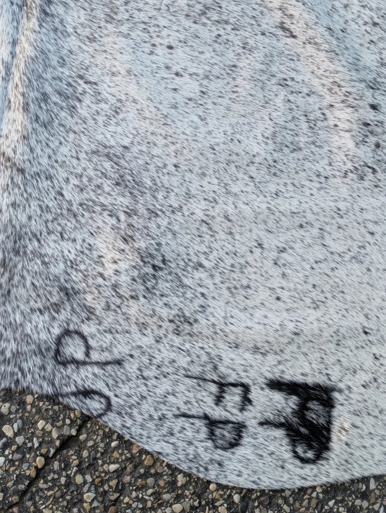 Gray speckled large cowhide with black graffiti markings showcasing unique characteristics in a lovely cowhide rug