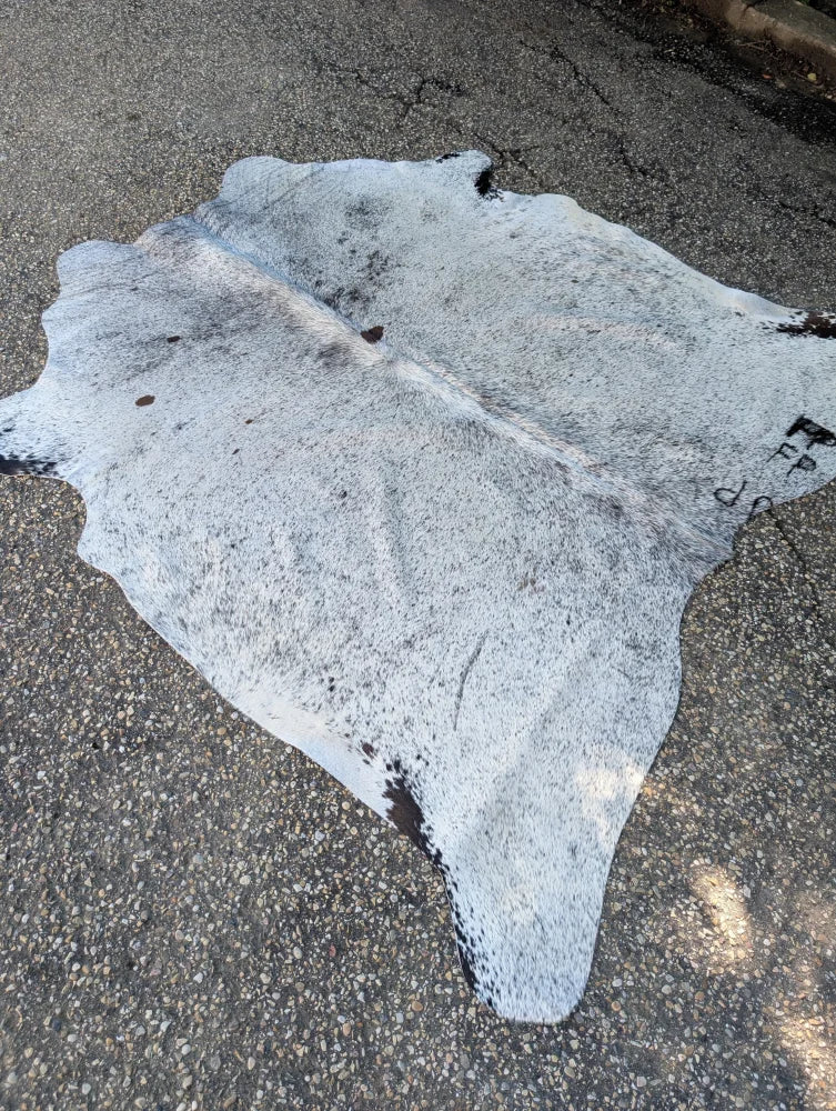 Sun18 large cowhide lovely cowhide rug in white and black speckled with natural fur texture lying flat on pavement