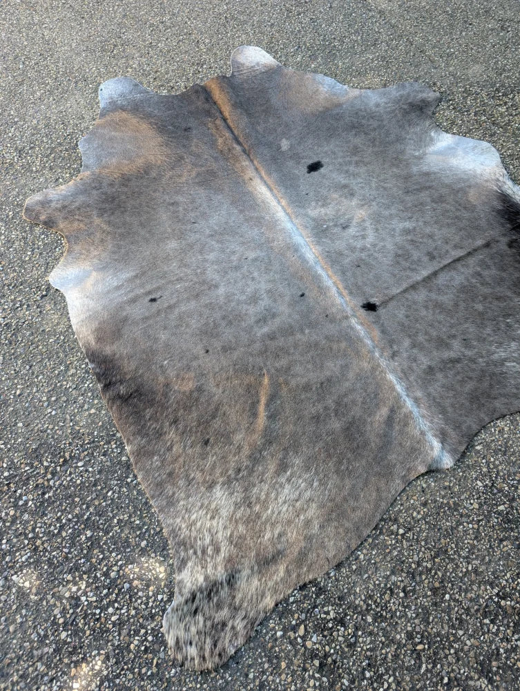 Sun2 77 x 64 lovely cowhide rug with large cowhide in natural gray and brown showing unique characteristics