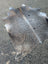 Sun2 77 x 64 lovely cowhide rug with large cowhide in natural gray and brown showing unique characteristics