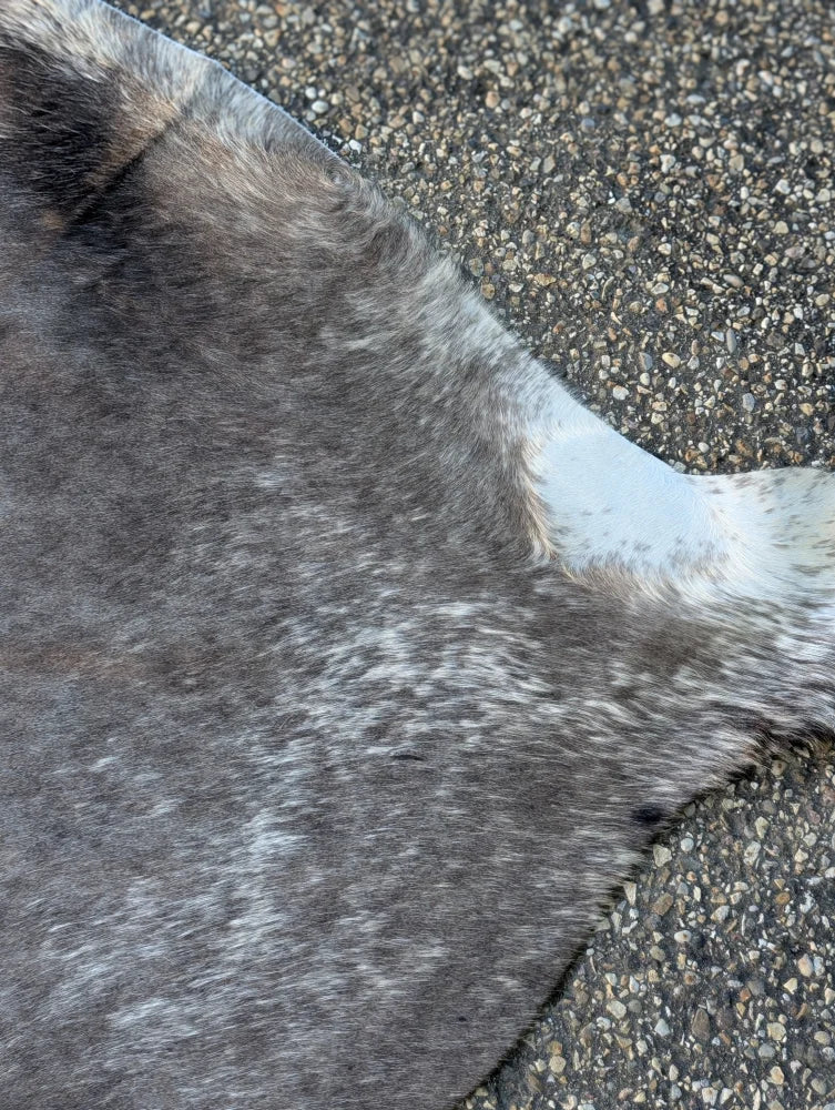 Gray and white speckled soft cowhide rug with unique characteristics perfect as a large lovely cowhide rug