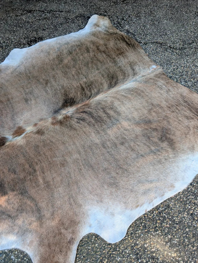 Large brown and white lovely cowhide rug with natural fur texture and unique characteristics for home decor