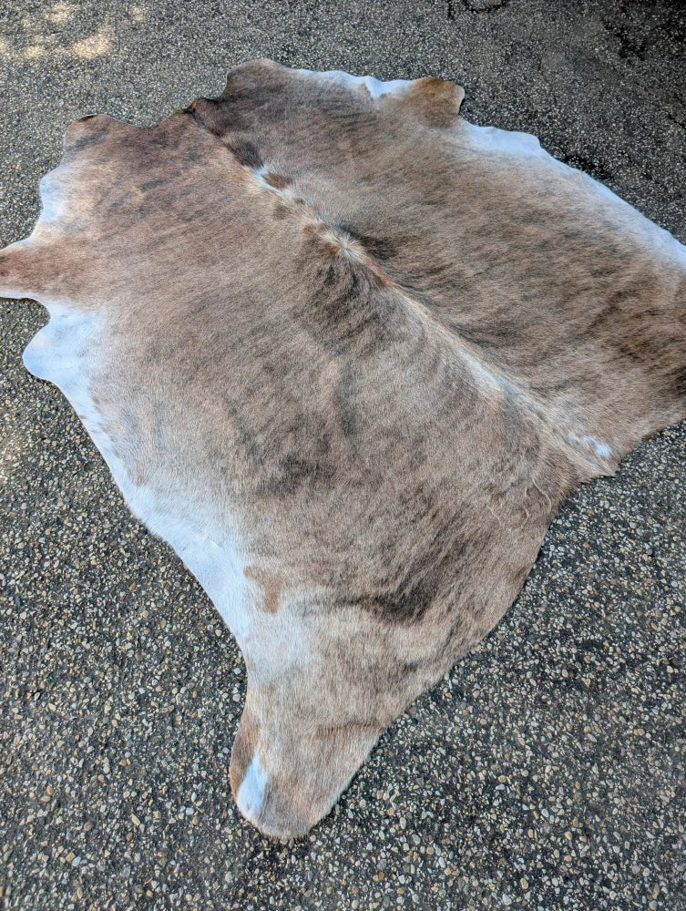Large lovely cowhide rug sun20 74.5 x 72 inches with brown and white natural fur texture and unique characteristics