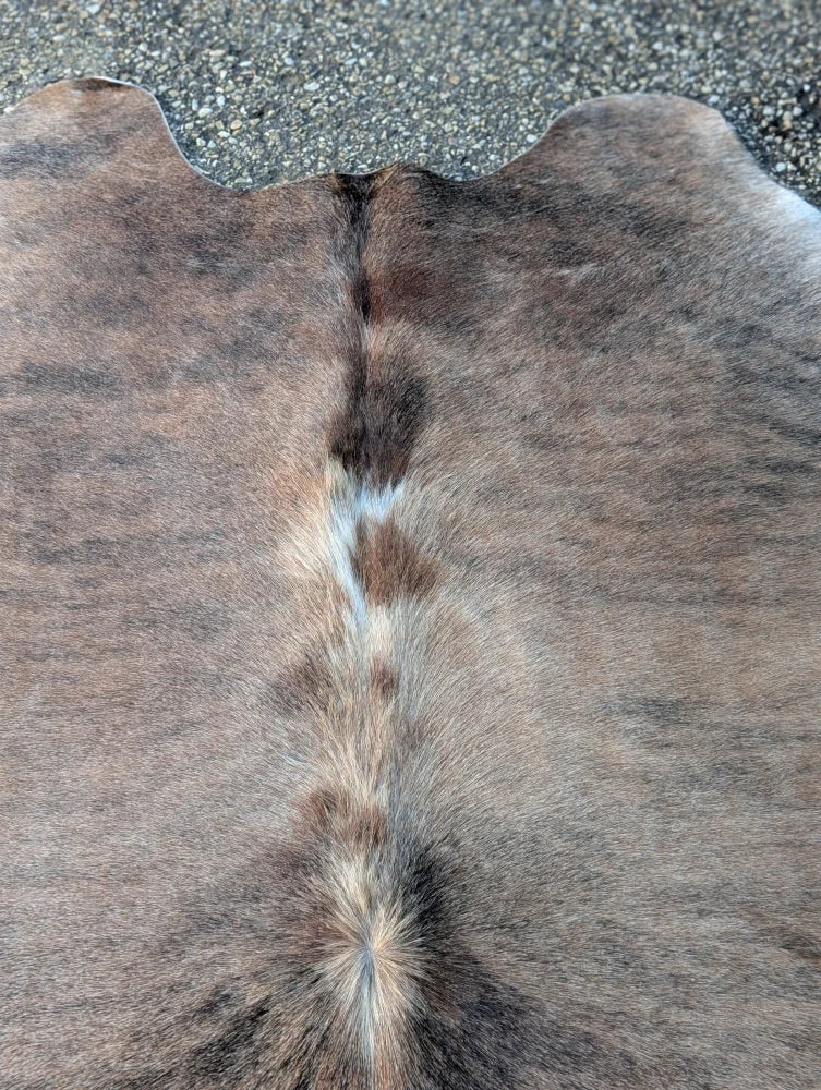 Large lovely cowhide rug in brown and white with natural textured surface showcasing unique characteristics